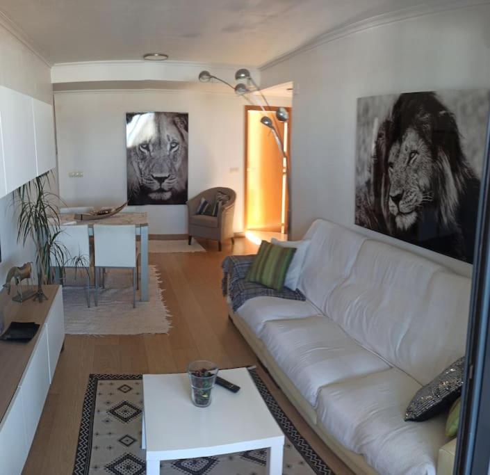 Atico En Paiporta Con 2 Grandes Terrazas Apartment Valencia Luaran gambar
