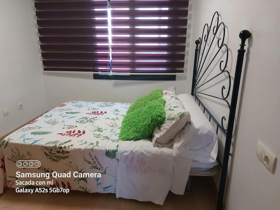 Atico En Paiporta Con 2 Grandes Terrazas Apartment Valencia Luaran gambar
