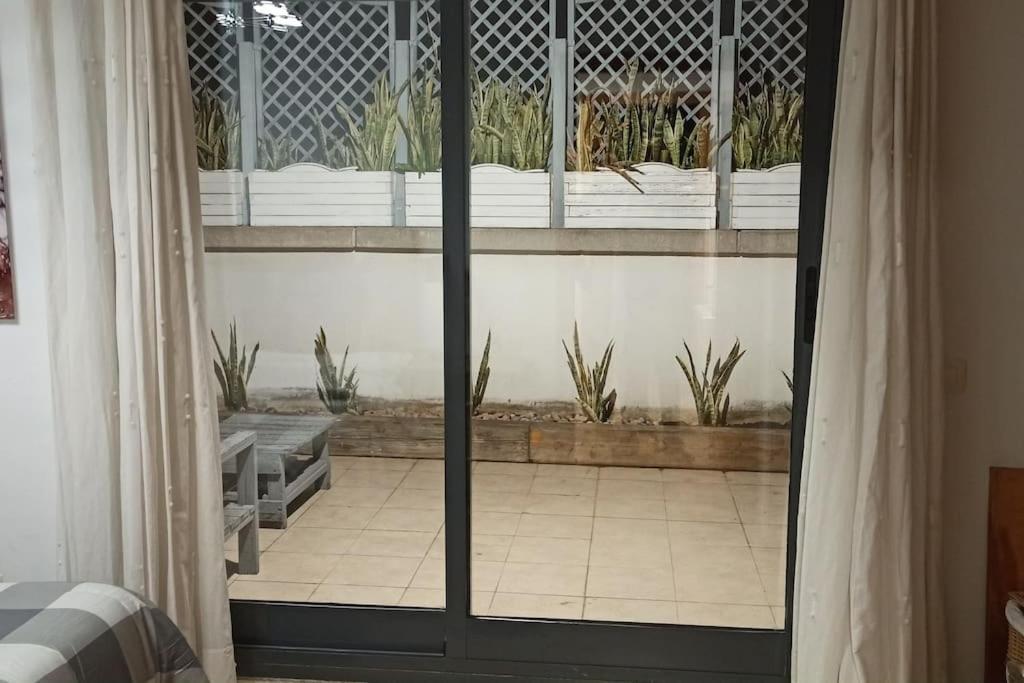 Atico En Paiporta Con 2 Grandes Terrazas Apartment Valencia Luaran gambar